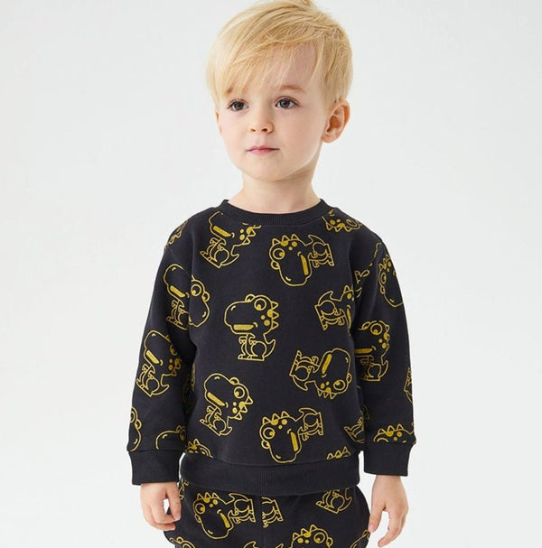 Toddler/Kid Boy's Dinosaur Print Fashion Sweatshirt