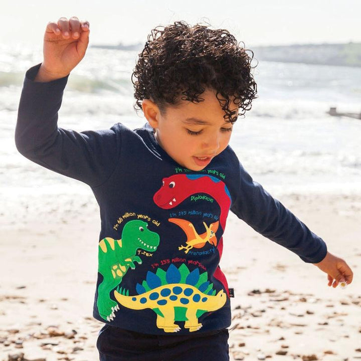 Boys Colorful Classic Dinosaur Pattern Sweatshirt - Kidsyard Greenland